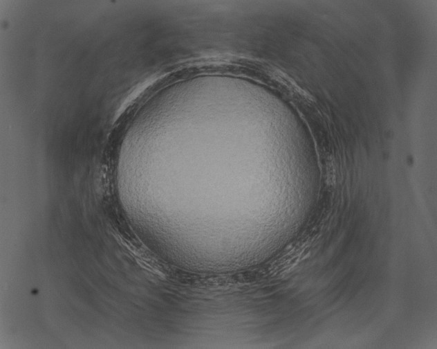 X0000077281208200611031517