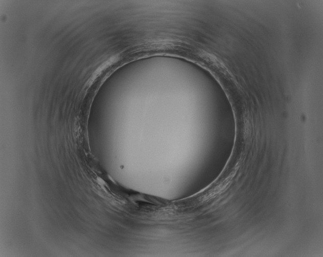 X0000077281210200611031517