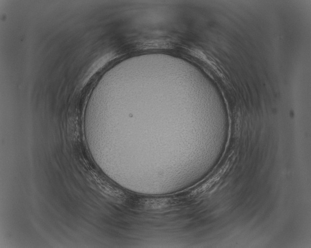 X0000077281211200611031517