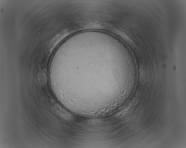 X0000077281212200611031517