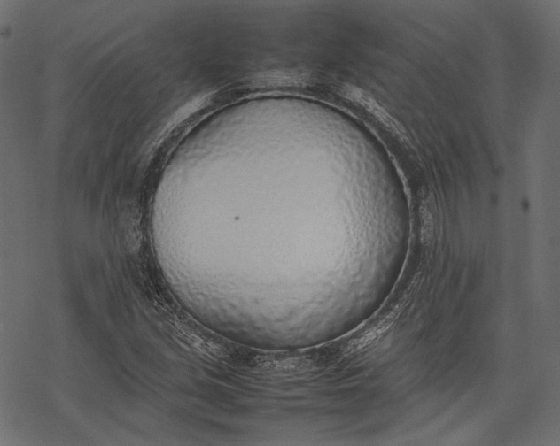 X0000077281213200611031517