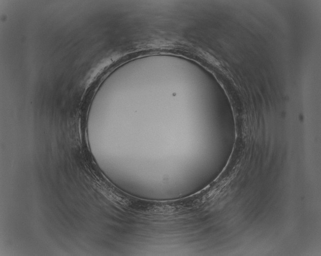 X0000077281214200611031517