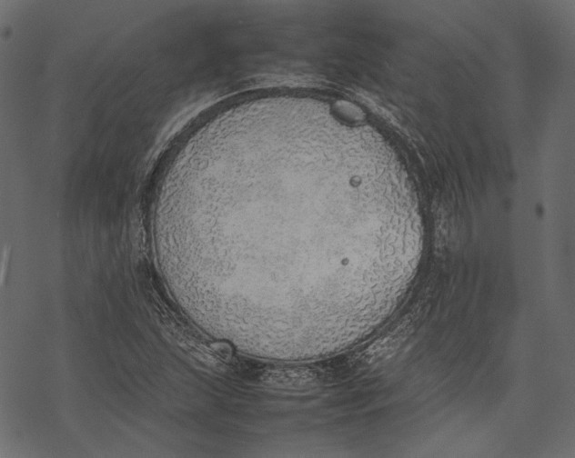 X0000077281215200611031517