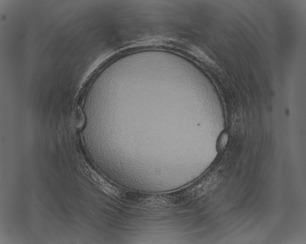 X0000077281216200611031517