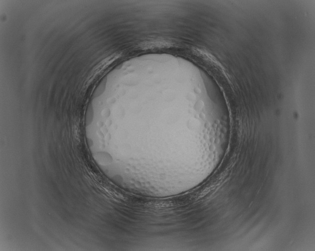 X0000077281217200611031517