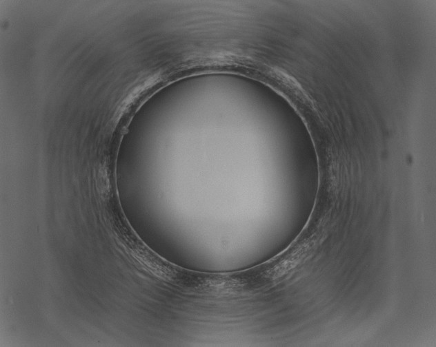 X0000077281218200611031517