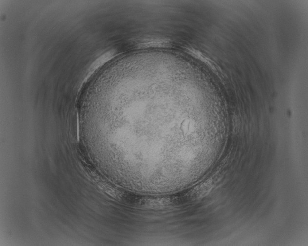 X0000077281219200611031517