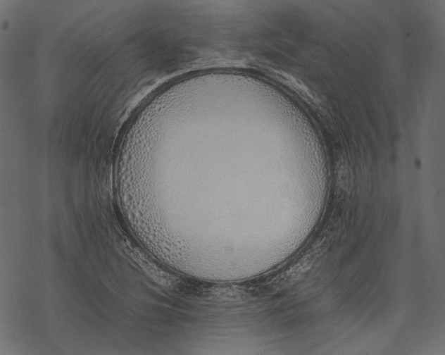 X0000077281220200611031517