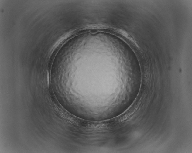 X0000077281221200611031517