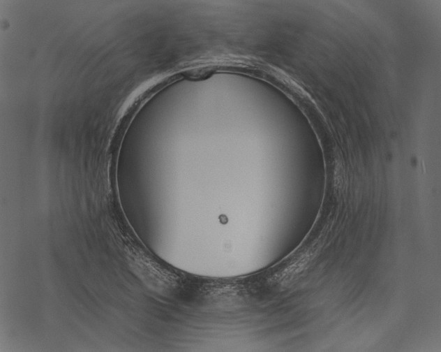 X0000077281222200611031517