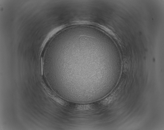 X0000077281223200611031517