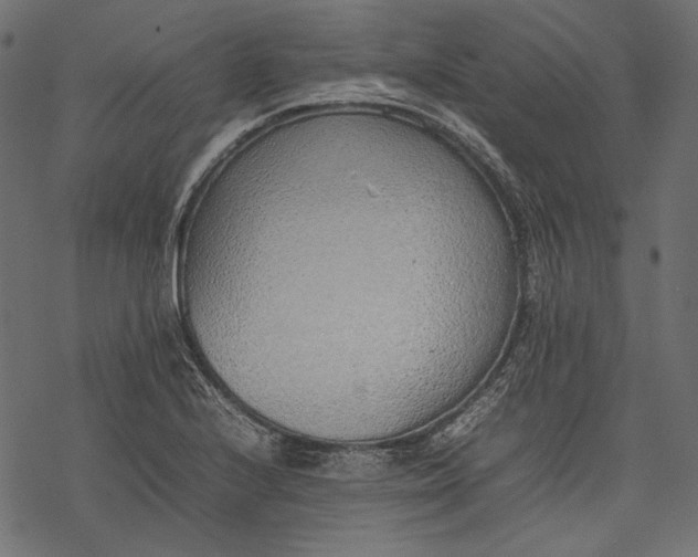 X0000077281224200611031517