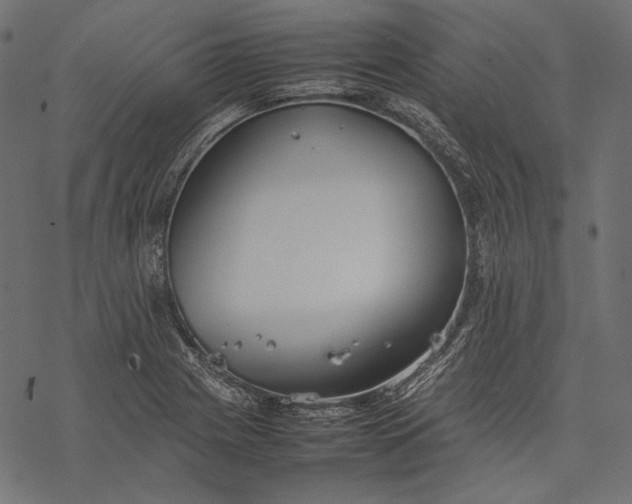 X0000077281225200611031517