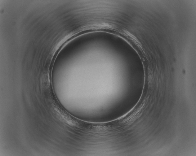 X0000077281226200611031517