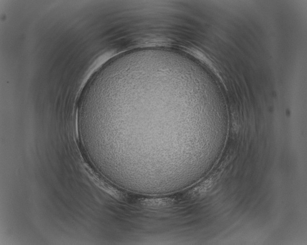 X0000077281227200611031517