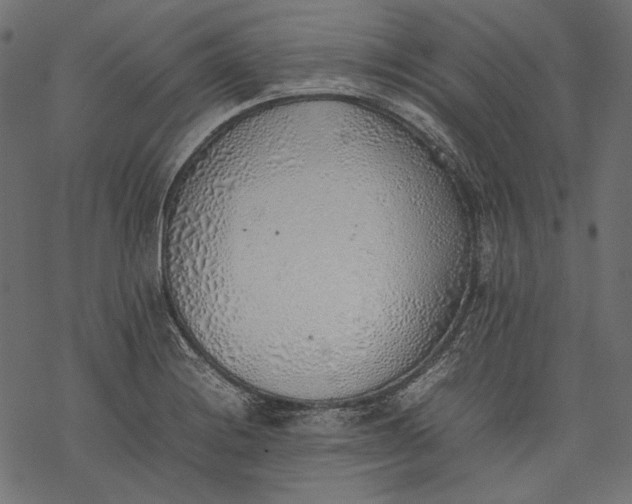 X0000077281228200611031517