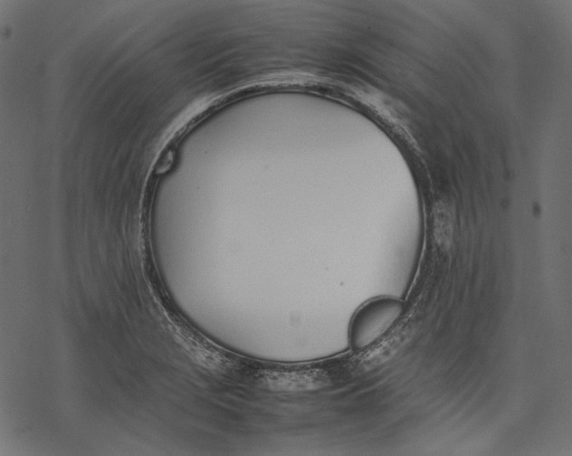 X0000077281229200611031517