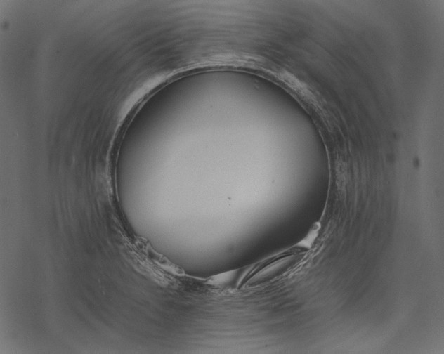 X0000077281230200611031517