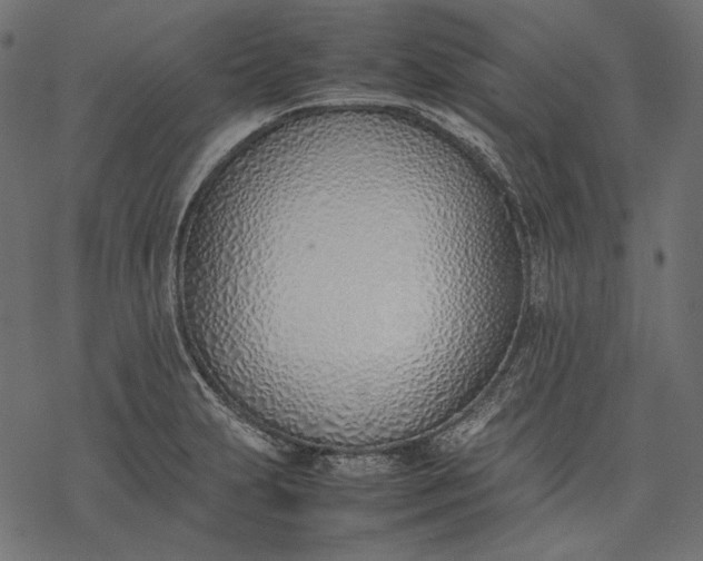 X0000077281231200611031517