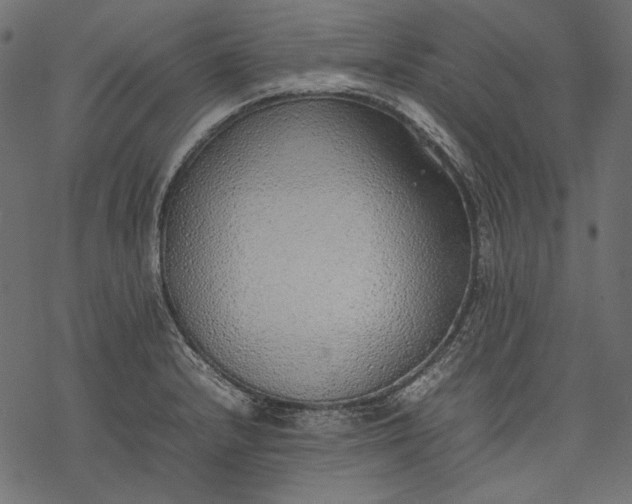 X0000077281232200611031517