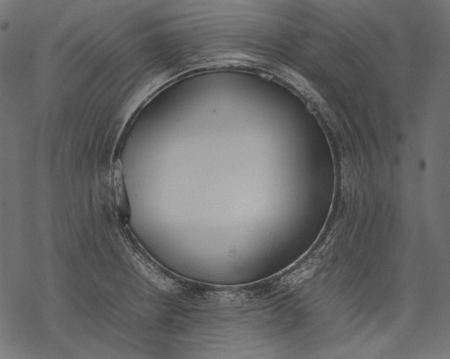 X0000077281234200611031517