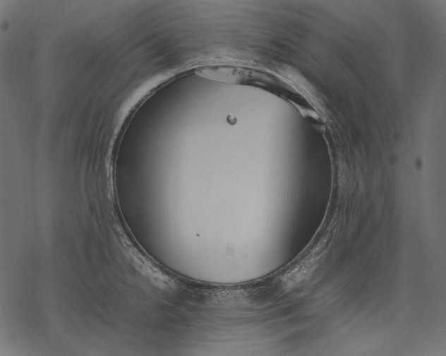 X0000077281238200611031517