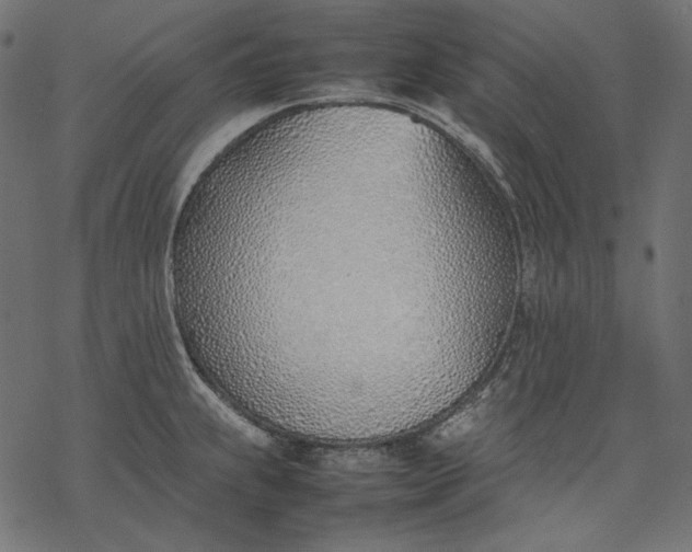 X0000077281239200611031517