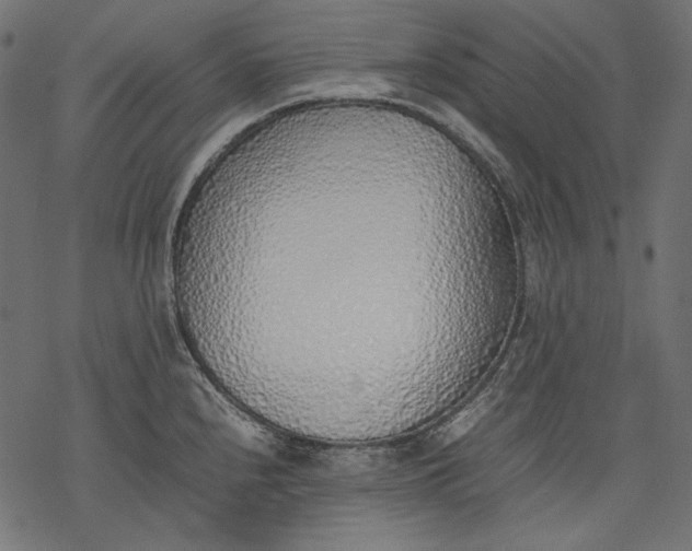 X0000077281240200611031517