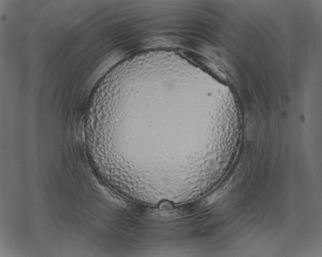 X0000077281241200611031517