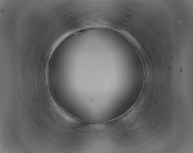 X0000077281246200611031517