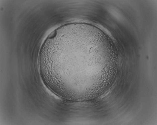 X0000077281247200611031517