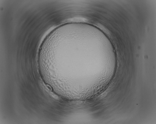 X0000077281248200611031517