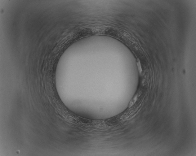 X0000077281249200611031516