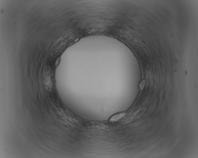 X0000077281250200611031516