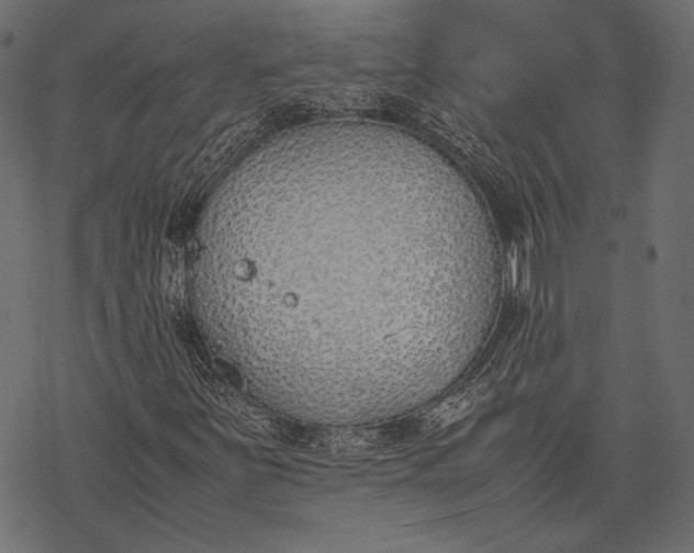 X0000077281251200611031516