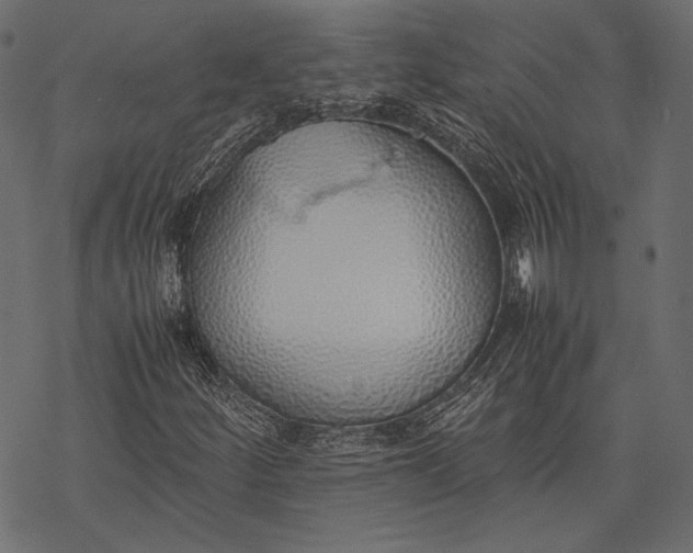 X0000077281252200611031516