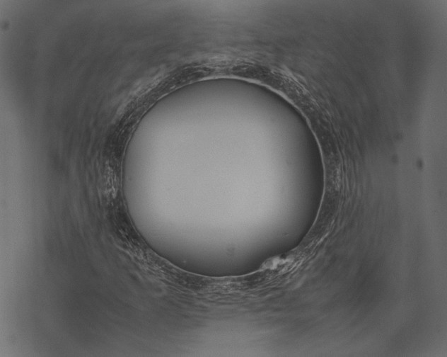 X0000077281253200611031516