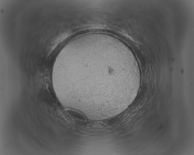 X0000077281255200611031516