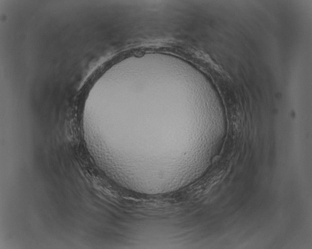 X0000077281256200611031516