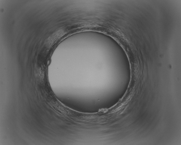 X0000077281257200611031516