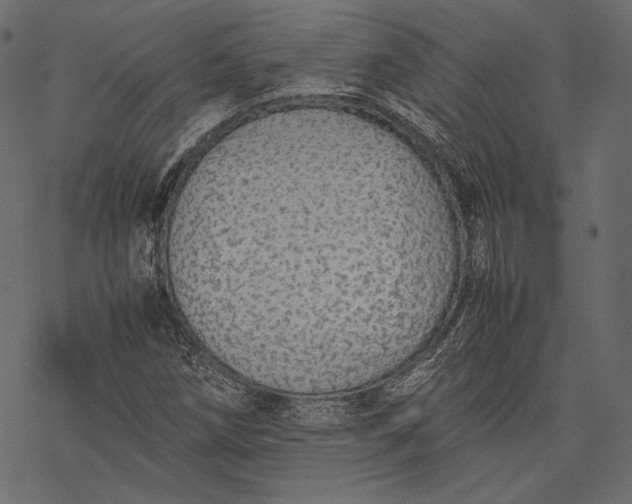 X0000077281258200611031516