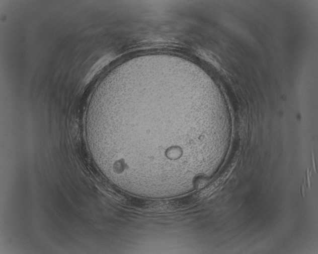 X0000077281259200611031516