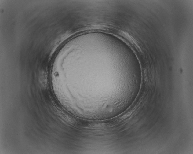 X0000077281260200611031516