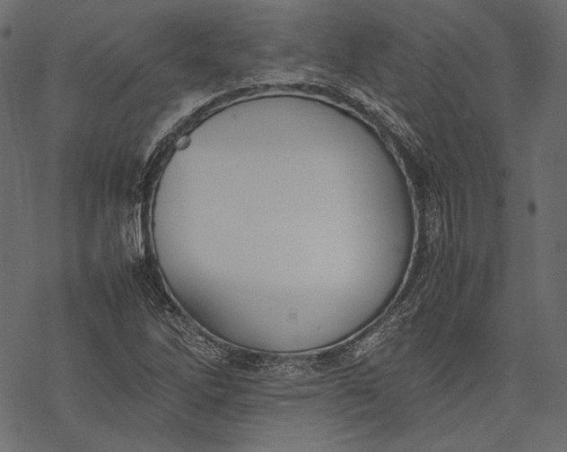 X0000077281262200611031516