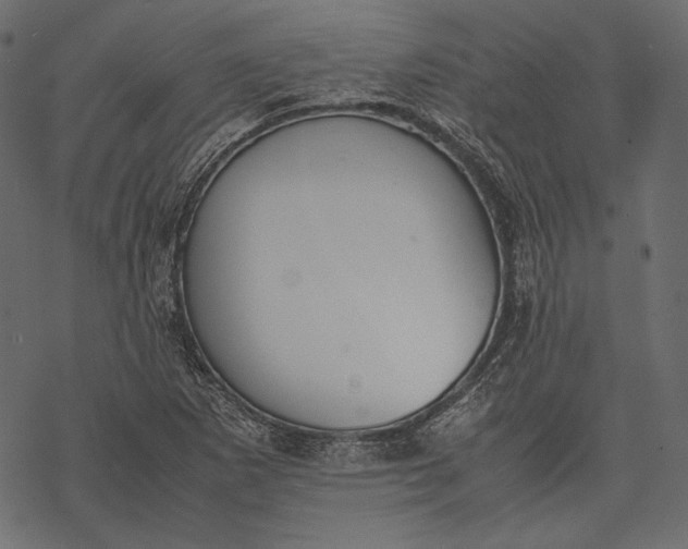 X0000077281265200611031516