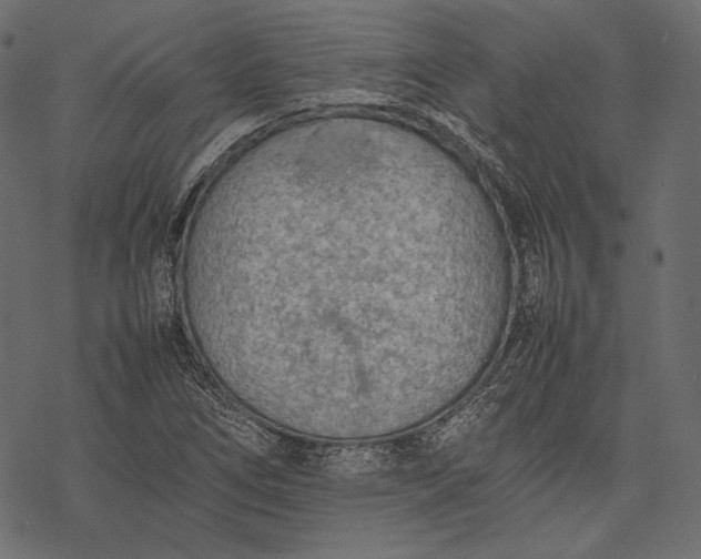 X0000077281266200611031516