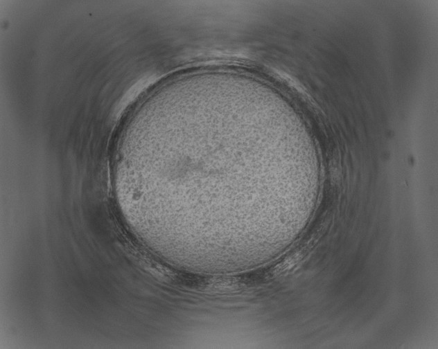 X0000077281267200611031516