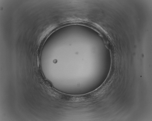 X0000077281269200611031516