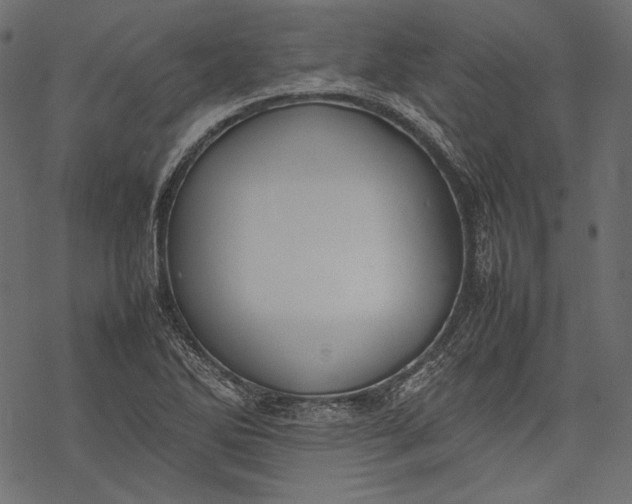 X0000077281270200611031516