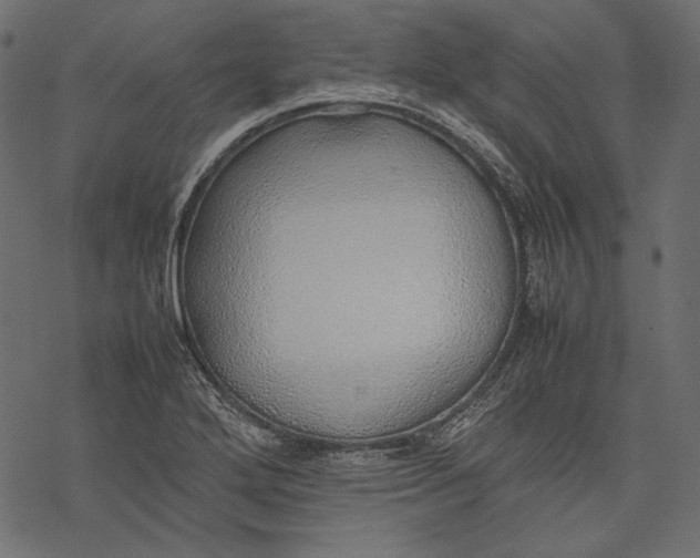 X0000077281272200611031516